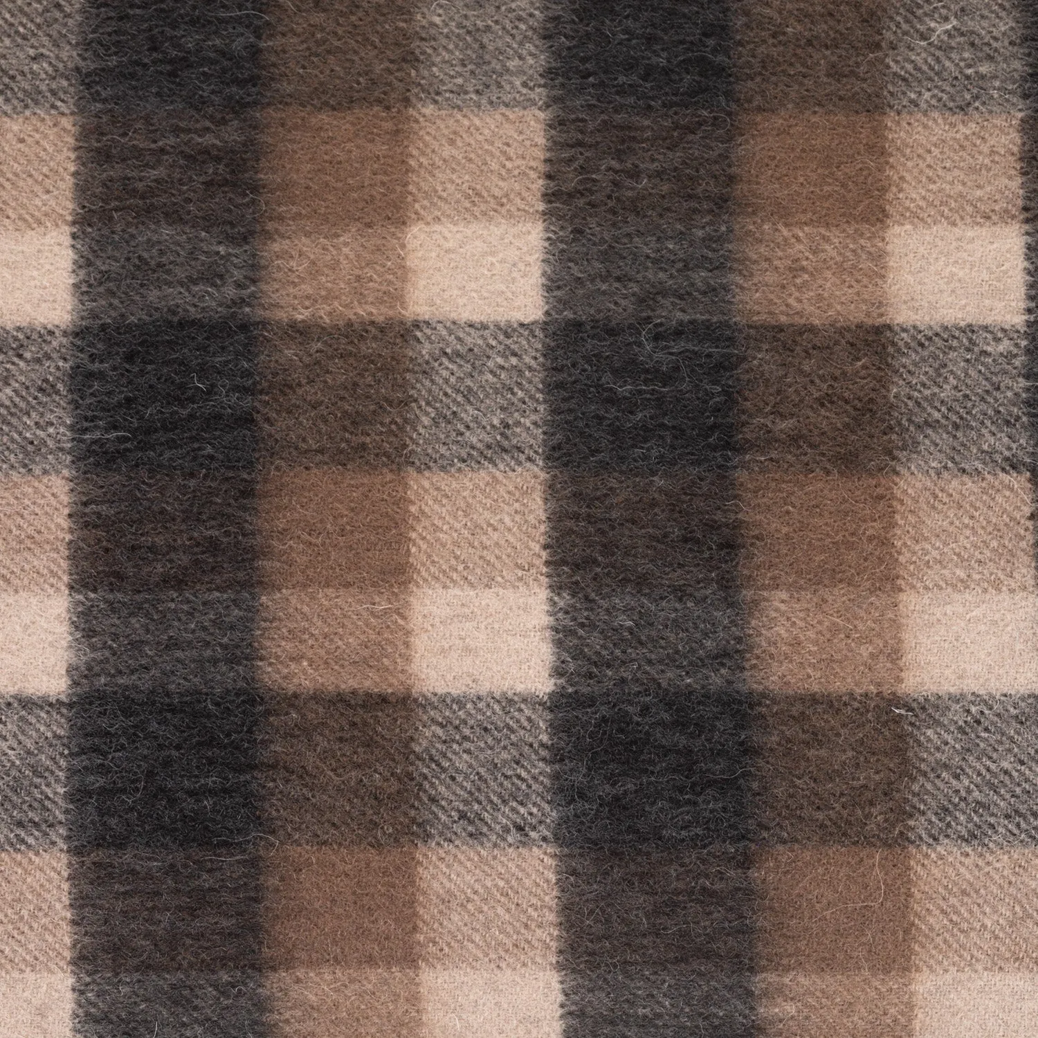 Edinburgh 100% Lambswool Scarf  Big Check Natural Brown