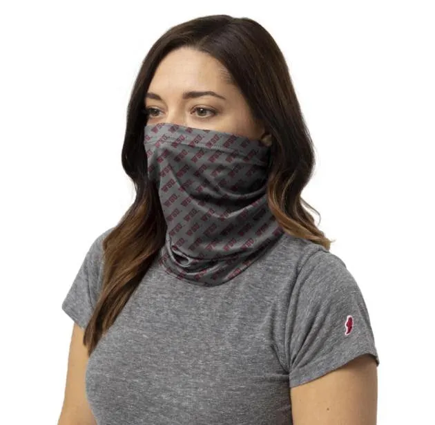 Gray Washington State Gaiter Mask