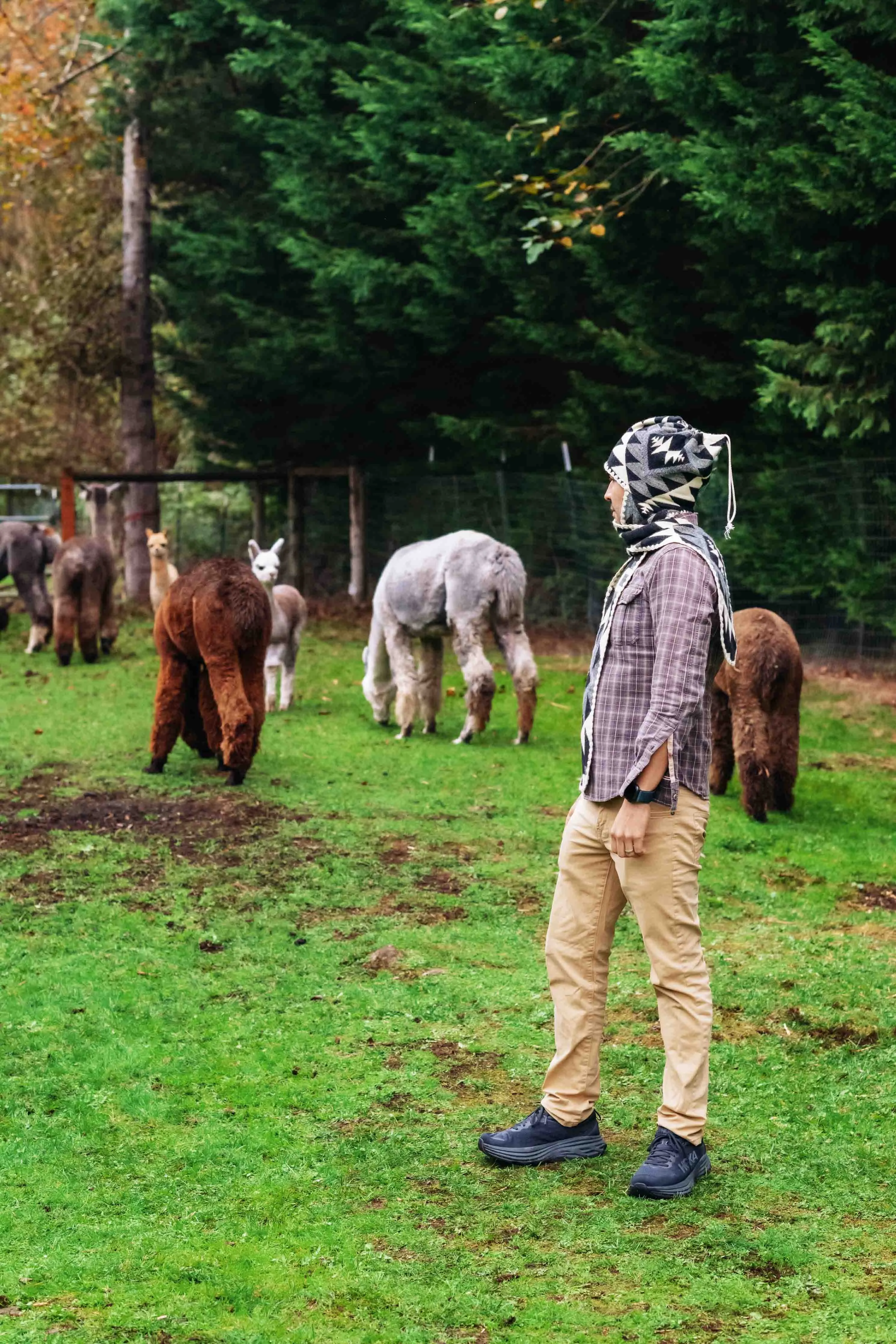 Nazca - Black - Convertible Alpaca Hat Scarf