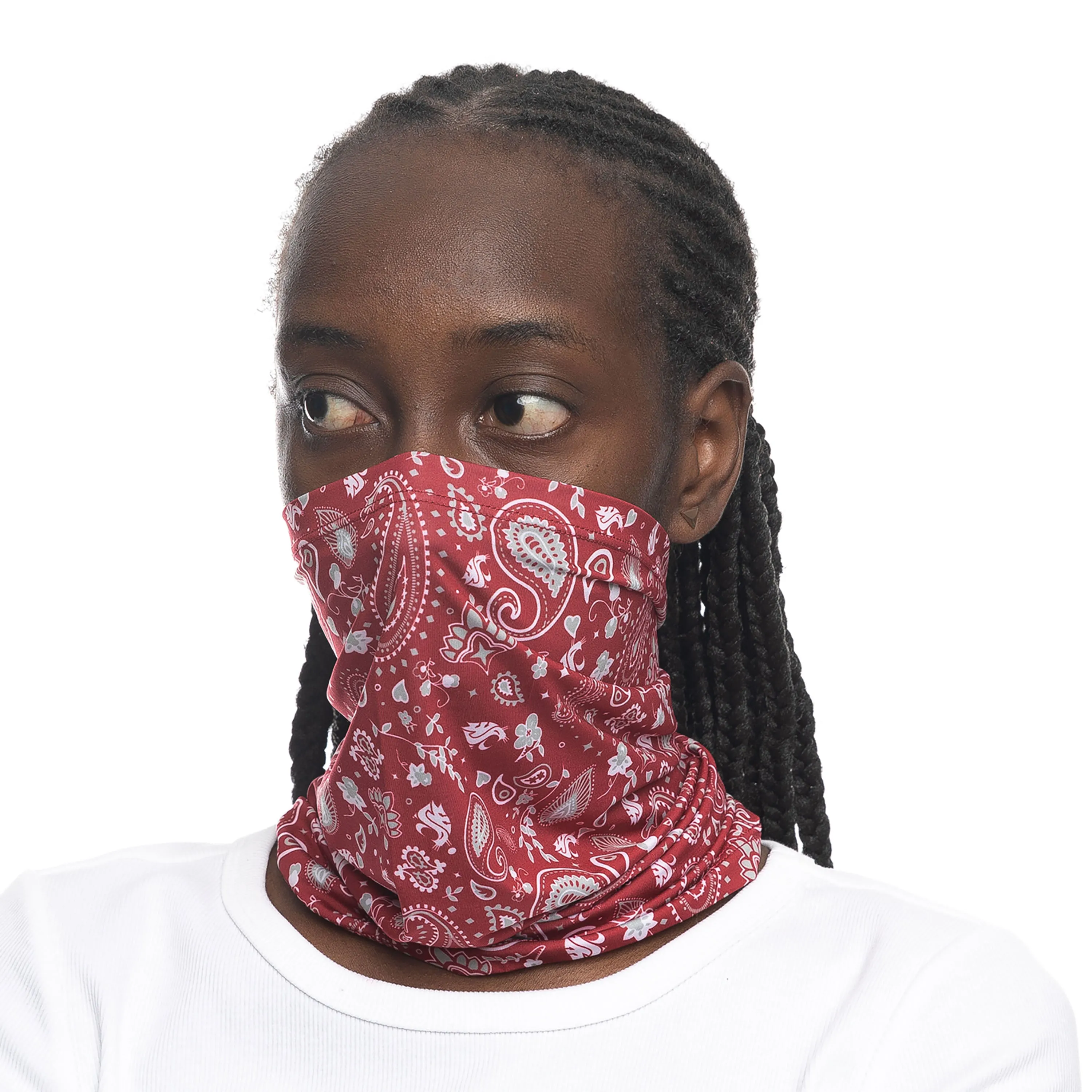 Washington State Paisley Gaiter Mask